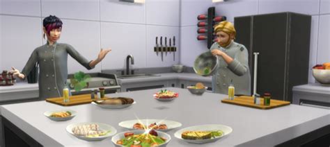 Unofficial Sims Prima Culinary Career Culinary Arts Food Science