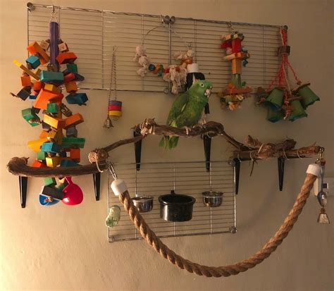 How To Make Bird Toys For Parakeets Akiko Wahl