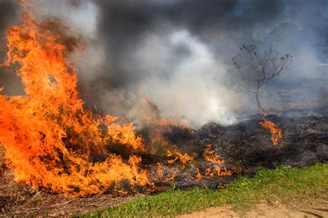 The Adverse Effects Of Stubble Burning On Our Environment AQI India