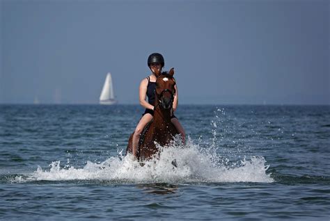 Oosterschelde Door Arjan Van Lomwel Goes Plezier In Het Omroep