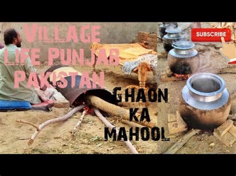 Village Life Punjab Pakistan Saraiki Viral Vlogs Trending Villagelife