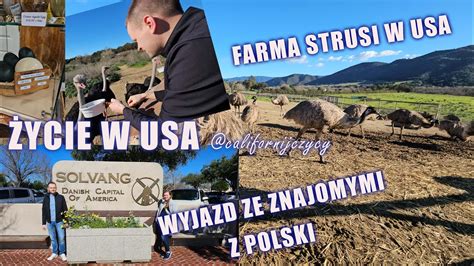 Ycie W Usa Wyjazd Do Solvang Ze Znajomymi Z Polski Farma Strusi W