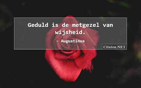 Citaten Met Wijsheid Citaten Quotes Uitspraken En Wijsheden