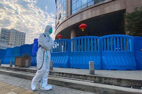 Who Team In Wuhan Dismisses Lab Leak Theory Continues Hunt For