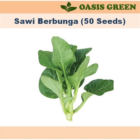 Biji Benih Vegetable Seed Flower Seeds Sayurbungabuah Bendi