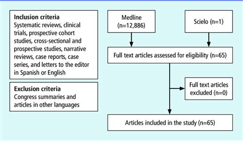 Flowchart Of The Narrative Review Process Download Scientific Diagram