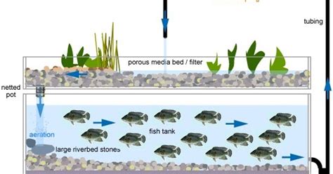 Easy Aquaponic Design-Set Up Your Own Diy Aquaponics Systems: How To ...