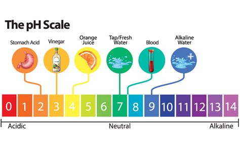 pH Wars - Acidic vs. Alkaline Beverages - City Sports Club