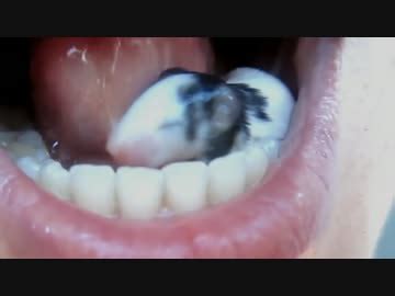 Girl Swallows Live Mouse Telegraph