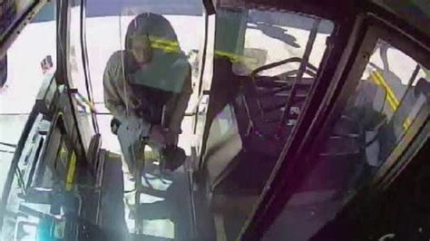 Hunt For Bus Groper