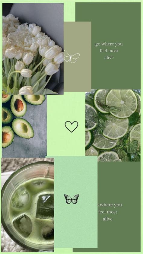 Sage Green Aesthetic Sage Green Wallpaper Mint Aesthetics Peppermint