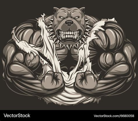 Angry Dog Bodybuilder Royalty Free Vector Image