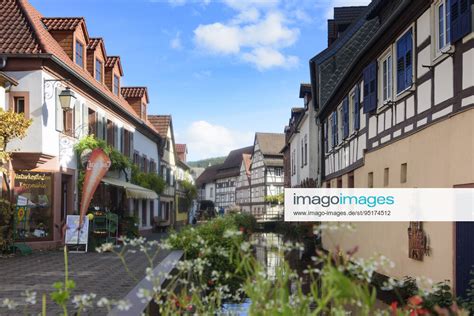 Kanal Queich Between Half Timbered Houses Tanner Quarters Annweiler Am