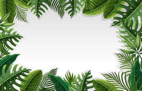 beautiful leaf frame  vector art  vecteezy