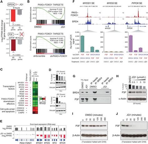 Pax3foxo1 Establishes Myogenic Super Enhancers And Confers Bet