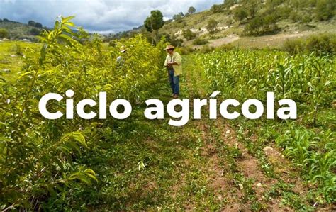 Calendario Agrícola Mexicano Una Guía Para Las Cosechas Secretaría De Agricultura Y