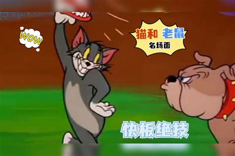 猫和老鼠：盘点剧中名场面，汤姆上演快板绝技，引得狗哥连连叫好