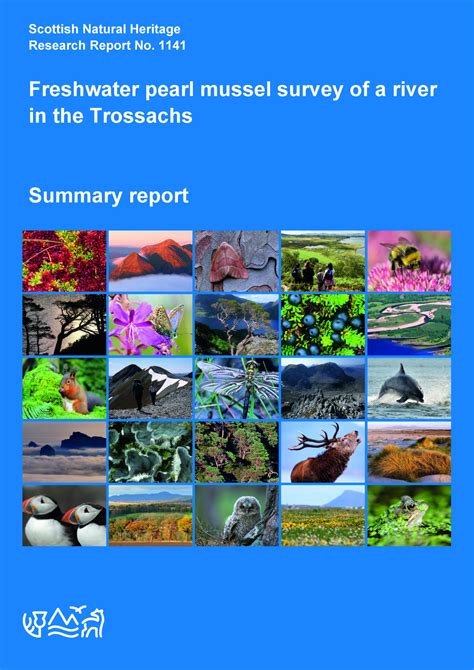 NatureScot Research Report 1141 - Freshwater pearl mussel survey of a
