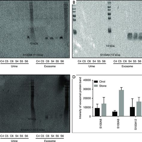 Verification Of Proteomic Results In Other Six Participants A B The