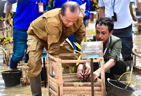 Ppid Kementrian Lingkungan Hidup Dan Kehutanan Sekjen Klhk Pimpin Tanam Mangrove Di Bali