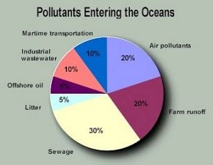 Water Pollution:Action Must Be Taken - Background Information