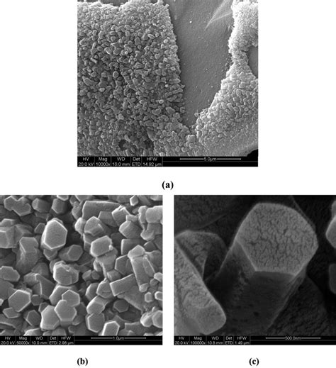 Fe Sem Images Of The As Prepared Iron Oxide At Different Magnifications