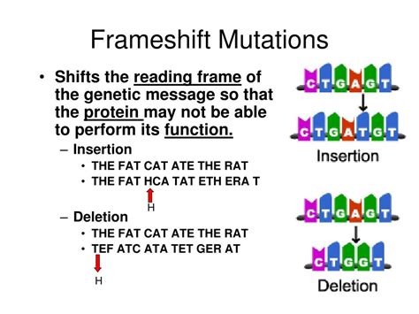 Ppt Mutations Powerpoint Presentation Free Download Id2146301