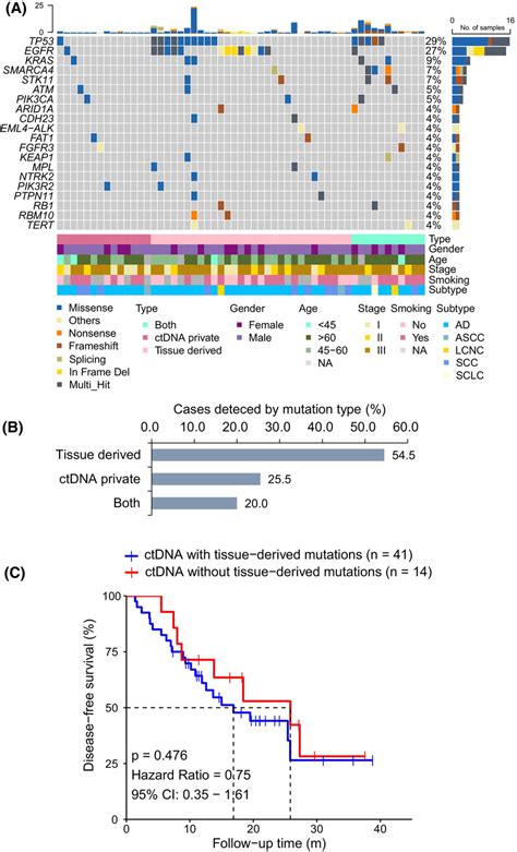 Association Of Postoperative Ctdna Mutation Types With Patient Outcome