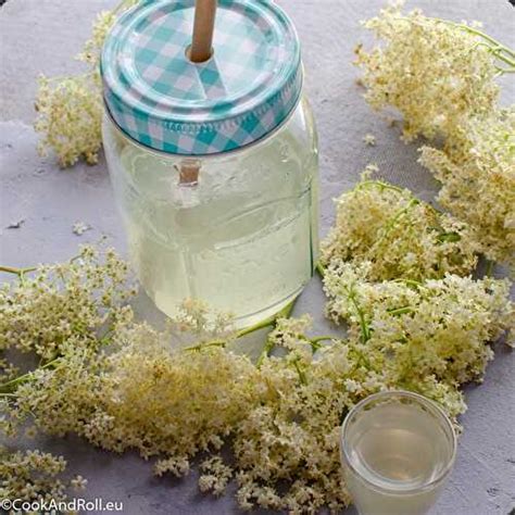 Sirop De Fleurs De Sureau De Cook N Roll Et Ses Recettes De Cuisine