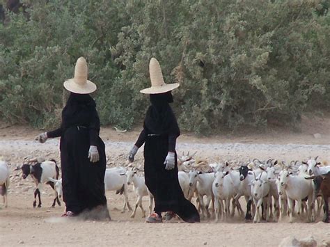 Yemeni Women Herding Goats Cultural Attractions World Heritage Sites