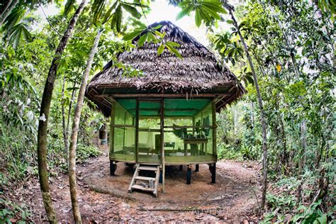 Transformation In The Amazon Rainforest Greg Goodman Photographic