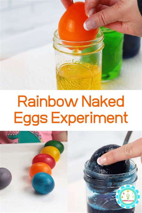 How To Do The Rainbow Rubber Egg Experiment