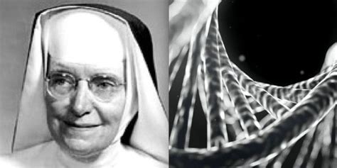 Sister Miriam The Dominican Nun Who Helped Discover Dna Read About