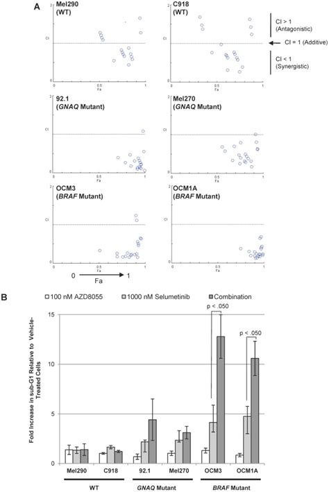 A AZD8055 Selumetinib Synergistically Inhibited BRAF And GNAQ Mutant