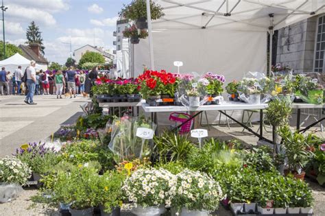 Sannois Le Printemps Est L C Est Le Moment D Acheter Des Plantes