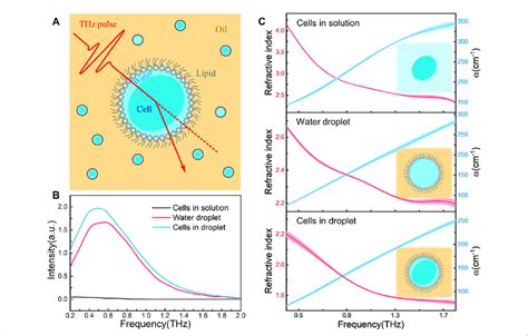 A Schematic Of Refractive Index Measurement Platform Based On The