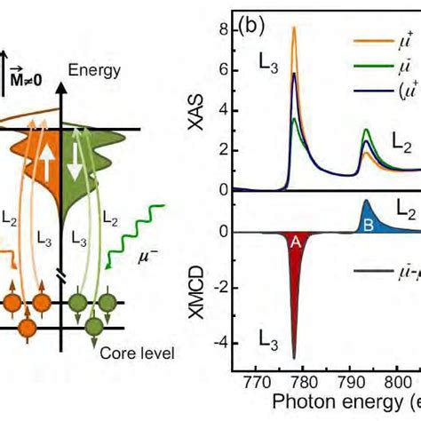 3 A Schematic Principle Of X Ray Magnetic Circular Dichroism XMCD