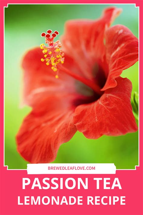 How To Make A Tropical Passion Tea Lemonade Brewed Leaf Love Recipe