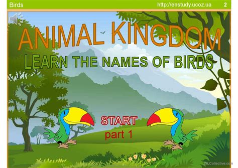 Animal Kingdom Learn The Names Of English Esl Powerpoints