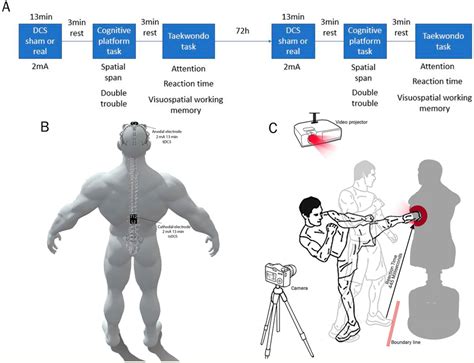 study protocol  tdcs tsdcs montages   brain stimulation