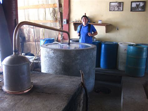 Mezcal is distilled using European traditional method. Delicious Mezcal