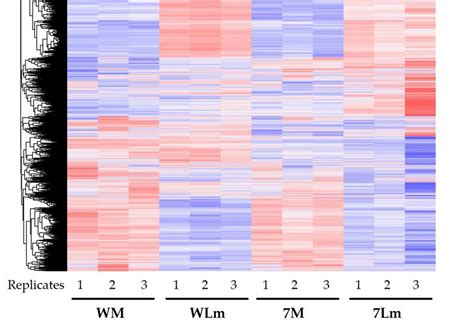 Cluster Heatmap Of The Expressed Genes Across All Samples Z Score Download Scientific Diagram