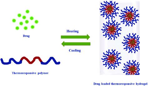 The Schematic Representation Of Thermoresponsive Hydrogel Formation