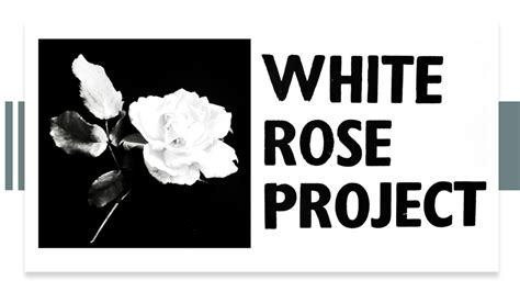 Translating The White Rose Pamphlets White Rose Project