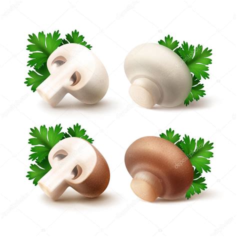 Set Of Whole And Sliced Mushrooms With Parsley — Stock Vector © Zonda