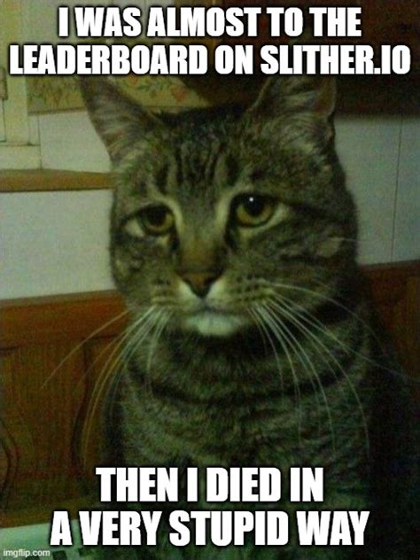 Depressed Cat Meme Imgflip