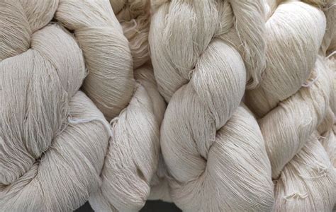 Mumbai Tiruppur Witness Stable Cotton Yarn Trend Amid Weak Demand