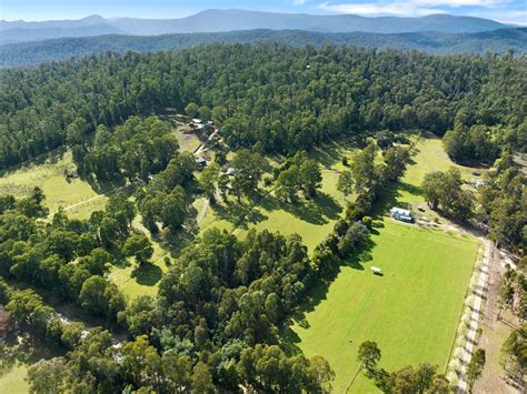 1260 Maroondah Highway Narbethong Vic 3778 Domain