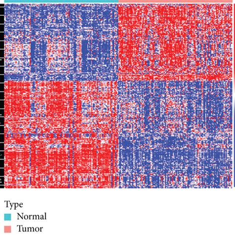 Identification Of Deirgs And Functional Enrichment Analysis Heatmap