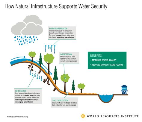 The Value Of Watersheds Willamette Partnership